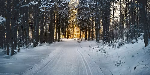 Caf\u00e9 mortel - \u00c9dition Hiver 2025