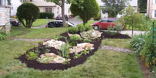 Home Rain Garden Tour