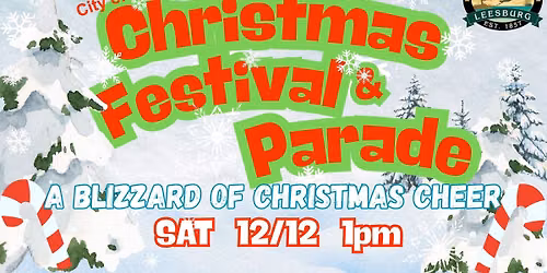 The 789s @ Leesburg's Christmas Festival