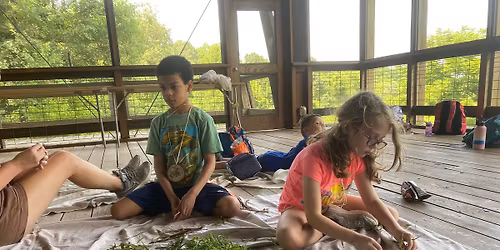 Art Outdoors: Nature Wands