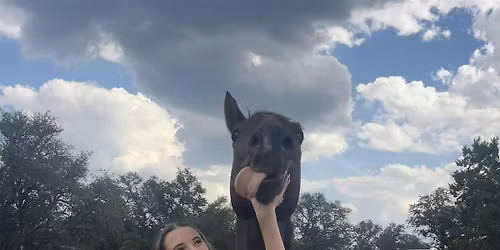 Sensory-Friendly Hands on with Horses for Neurodivergent Young Adults