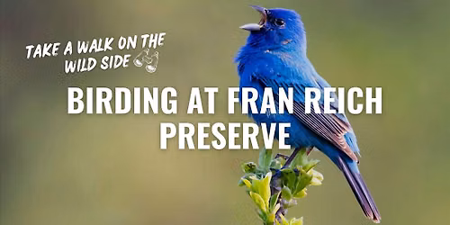 Guided Birding Driving Tour at Fran Reich Preserve
