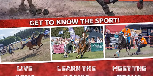 Horseboarding Demo | Raw Equine