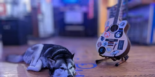 3rd Annual Dogs-Giving