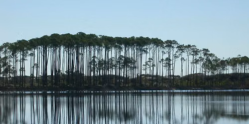 Grayton Beach Ecosystem Tour