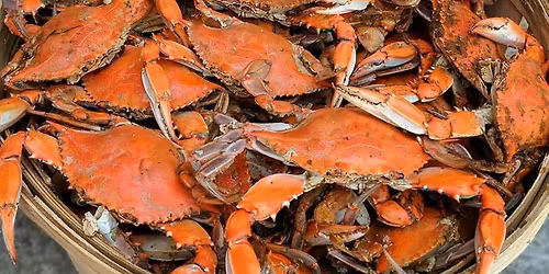 *SOLD OUT* AYCE Seafood Feed