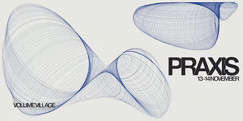 Praxis, gratis tv\u00e6r\u00e6stetisk festival