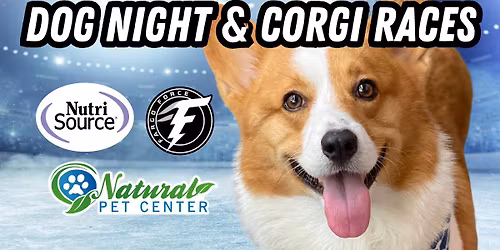 Dog Night & Corgi Races