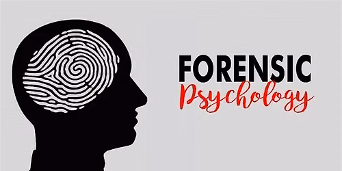 The Bigger Picture: Professions & Issues at the Edge of Forensic Psychology