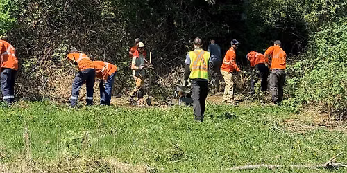 East Wellington Park Planting Event: Part 1