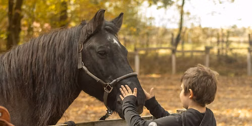 Animal-Assisted Therapy in Psychological Interventions \u2013 Comprehensive Training Program