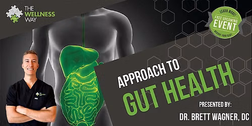 The Wellness Way Approach to Gut Health