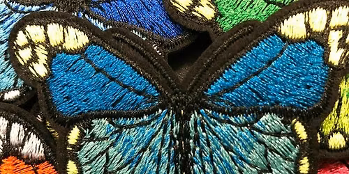 GIRL SCOUT WORKSHOP: BIOLOGY OF BUTTERFLIES