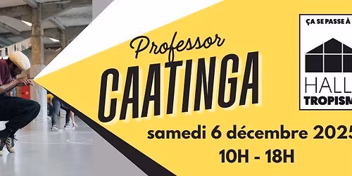 Stage de capoeira avec Professor Caatinga