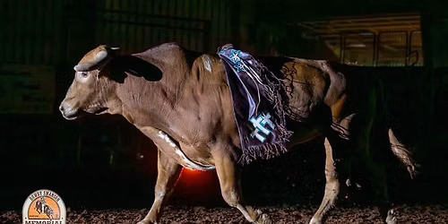 Rowdy Swanson Memorial Bull Riding