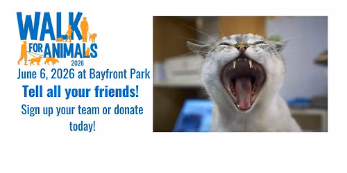  Walk for Animals