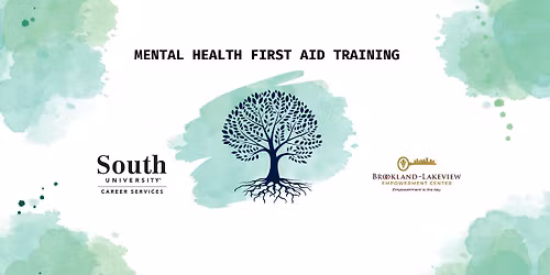 Mental health first aid training