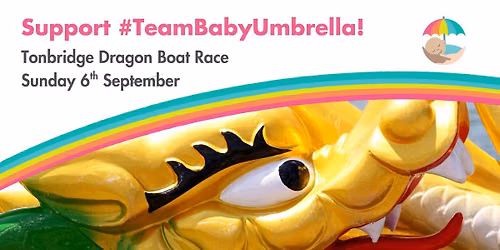 Tonbridge Dragon Boat Race 2026