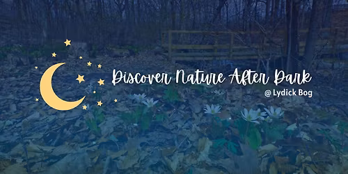 Night Hike: Discover Nature After Dark