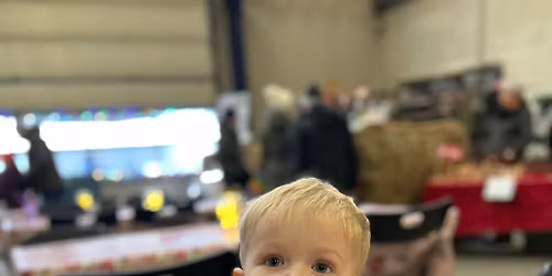 Juletr\u00e6s-f\u00e6ldning p\u00e5 Ristrup Hovedgaard