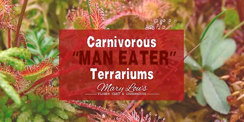 CARNIVOUROUS TERRARIUMS - MAKE & TAKE