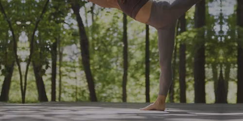 Arm Balance and Inversion Workshop 