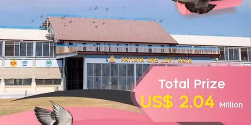 10th Pattaya International Pigeon Race - Friends meeting Friends