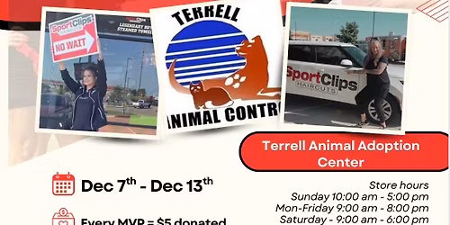 The great cut & Rescue 2.0!