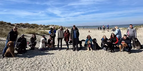 Camber Sands Poodle Walk \ud83d\udc29\ud83c\udf0a