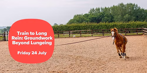 Train to Long Rein: Groundwork Beyond Lungeing