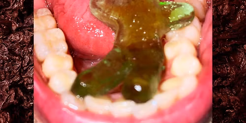 The Omnivore\u2019s Paradox: Critical Mouthfeel of Institutions av Andreas Engman