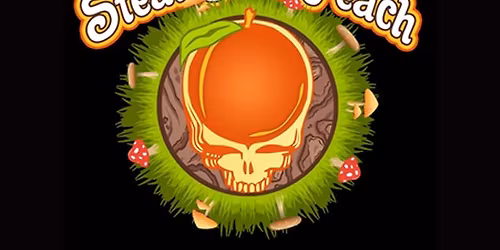 Steal Your Peach - Allman Brothers & Grateful Dead Mashup