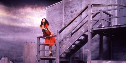 FEVER Closing Weekend | Free Film Screening + Artist & Curator Talk