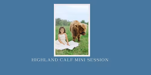 Highland Calf Mini Session