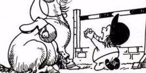 Showjump Training with Dan Baddeley at venue TBC