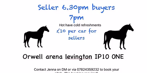 Indoor horsey carboot