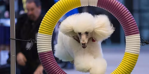 Parking Westminster Kennel Club Dog Show - New York (2 Day Pass)