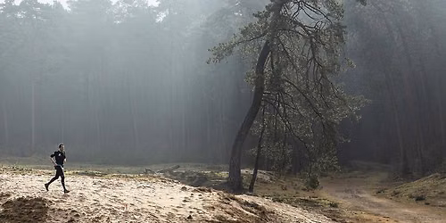 RUNFORESTRUN Ommerland