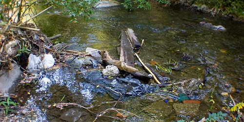 Midweek  Cleanup on Los Gatos Creek At Home Street