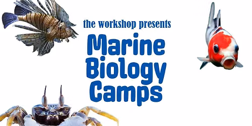Marine Biology Summer Camps