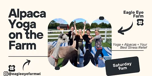 Alpaca Yoga