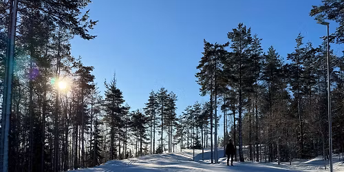 L\u00e4ngdskidkurs Skate. 