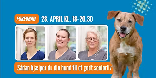  \ud83d\udc36 Foredrag: Seniorhunden og sundhed (ikke flere ledige pladser - vil du p\u00e5 venteliste?)