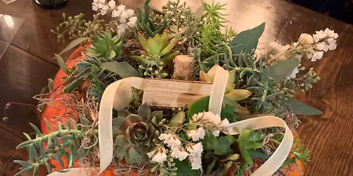 SOLD OUT  Large Succulent Pumpkin @Savvy Garden & Home