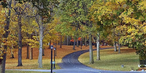 Public Tour: Fall Trees with the Crown Hill Arboretum Director