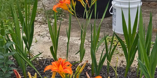 Summer Open House and Garden Party