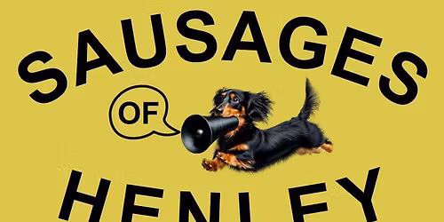 Sausage Dog Christmas get together