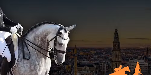 IICH Groningen - Finale Dressuur Derby (B t\/m ZZ-Licht)