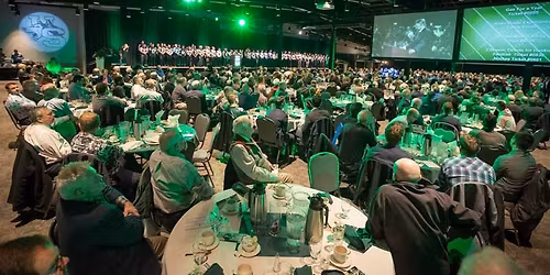 Dogs\u2019 Breakfast XXIV