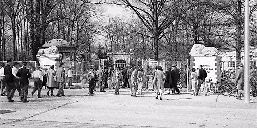120 Years and Counting: A Tour of the Memphis Zoo's Historic Buildings